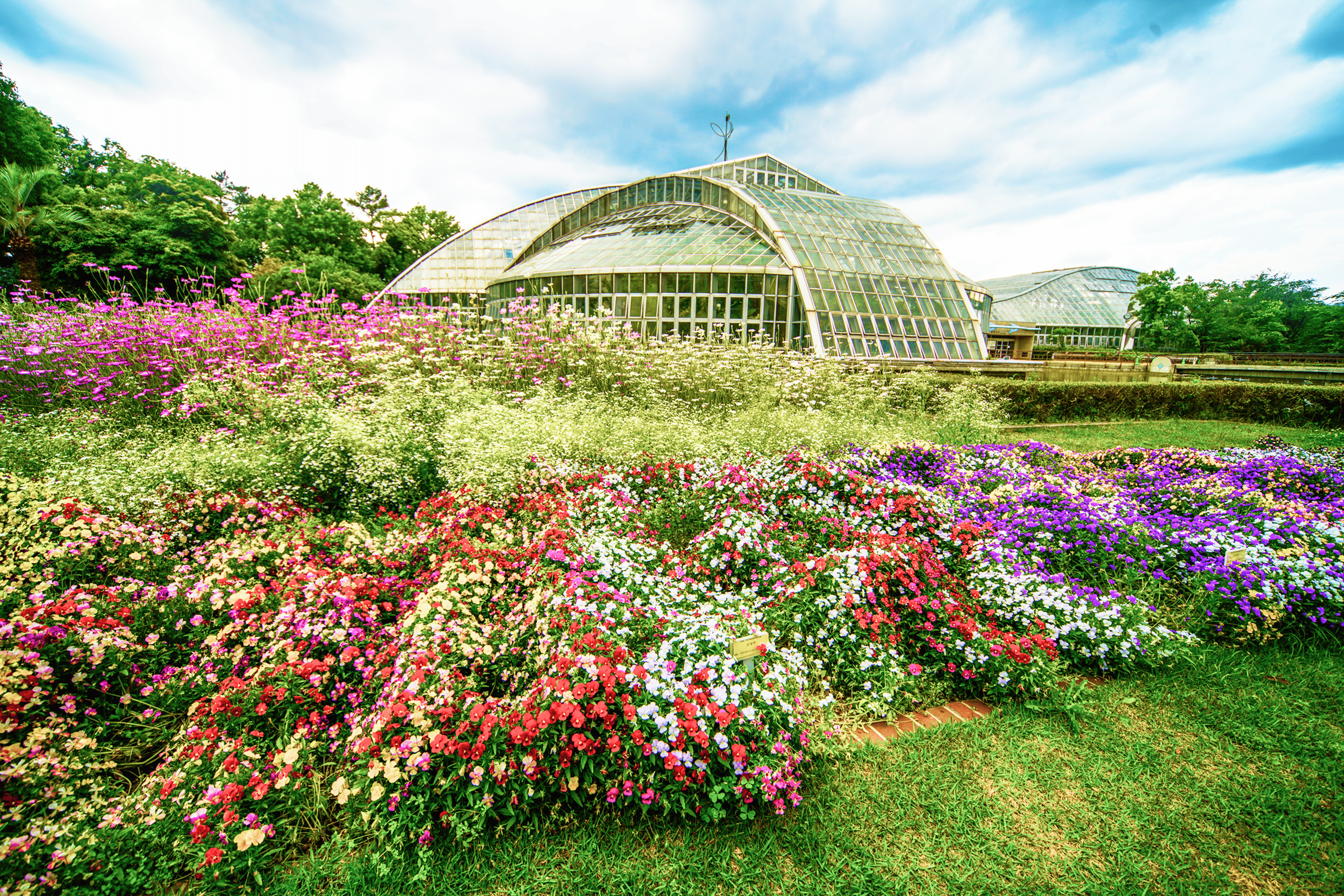 京都府立植物園